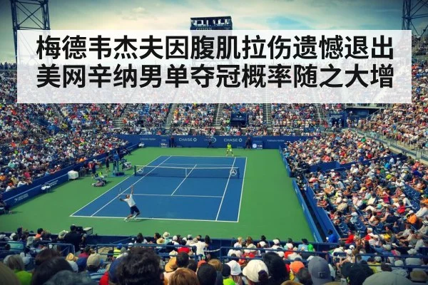 梅德韦杰夫因腹肌拉伤遗憾退出美网辛纳男单夺冠概率随之大增
